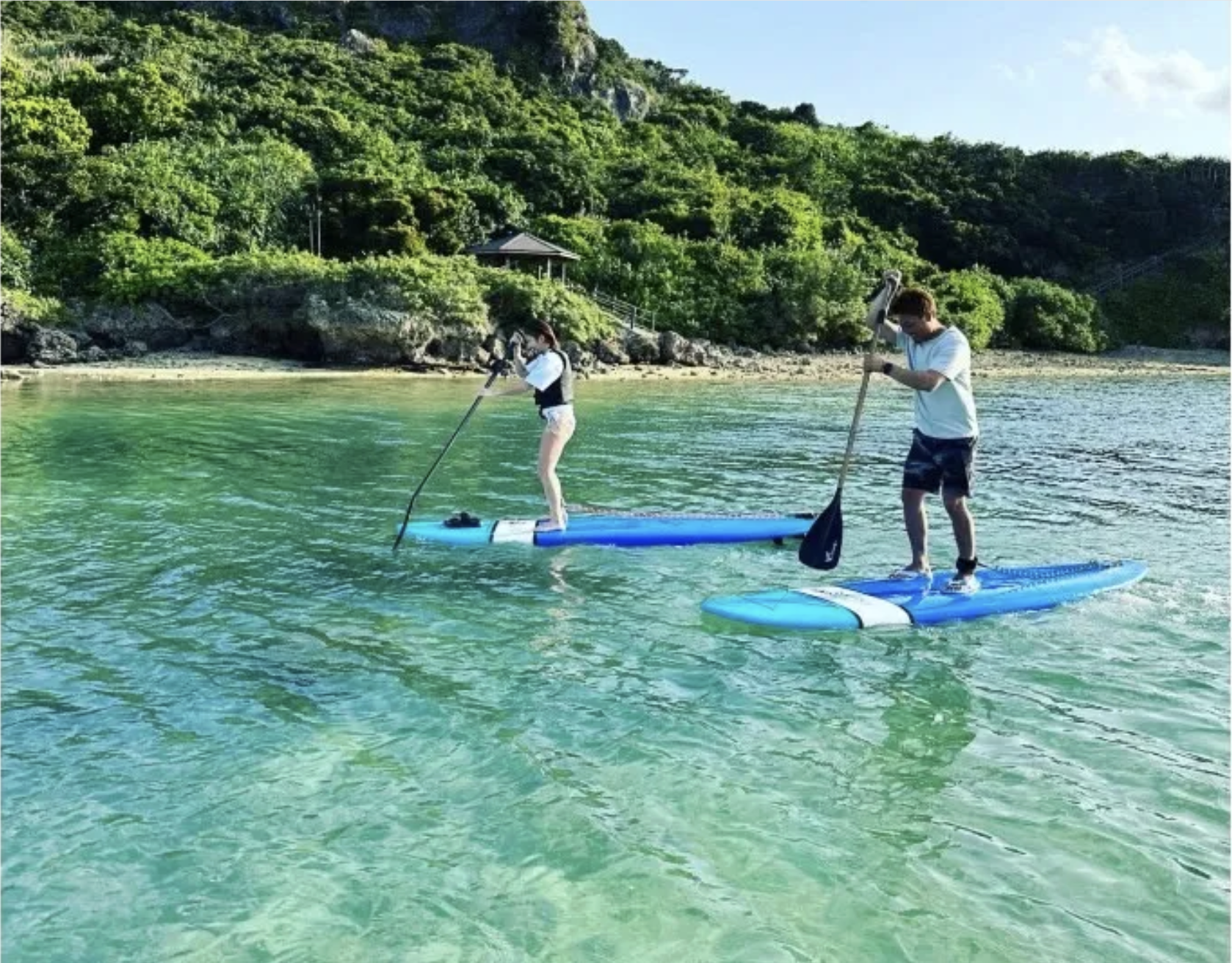 サップレンタル